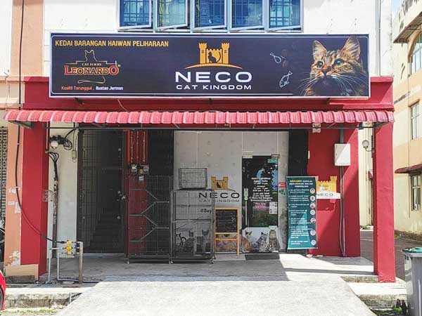 Neco Cat Kingdom